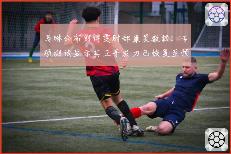 马琳公布刘诗雯肘部康复数据：专项测试显示其正手发力已恢复至预期水平的92%