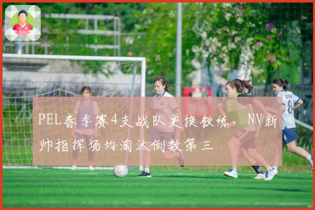 PEL春季赛4支战队更换教练，NV新帅指挥场均淘汰倒数第三